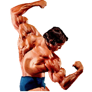 Arnold img