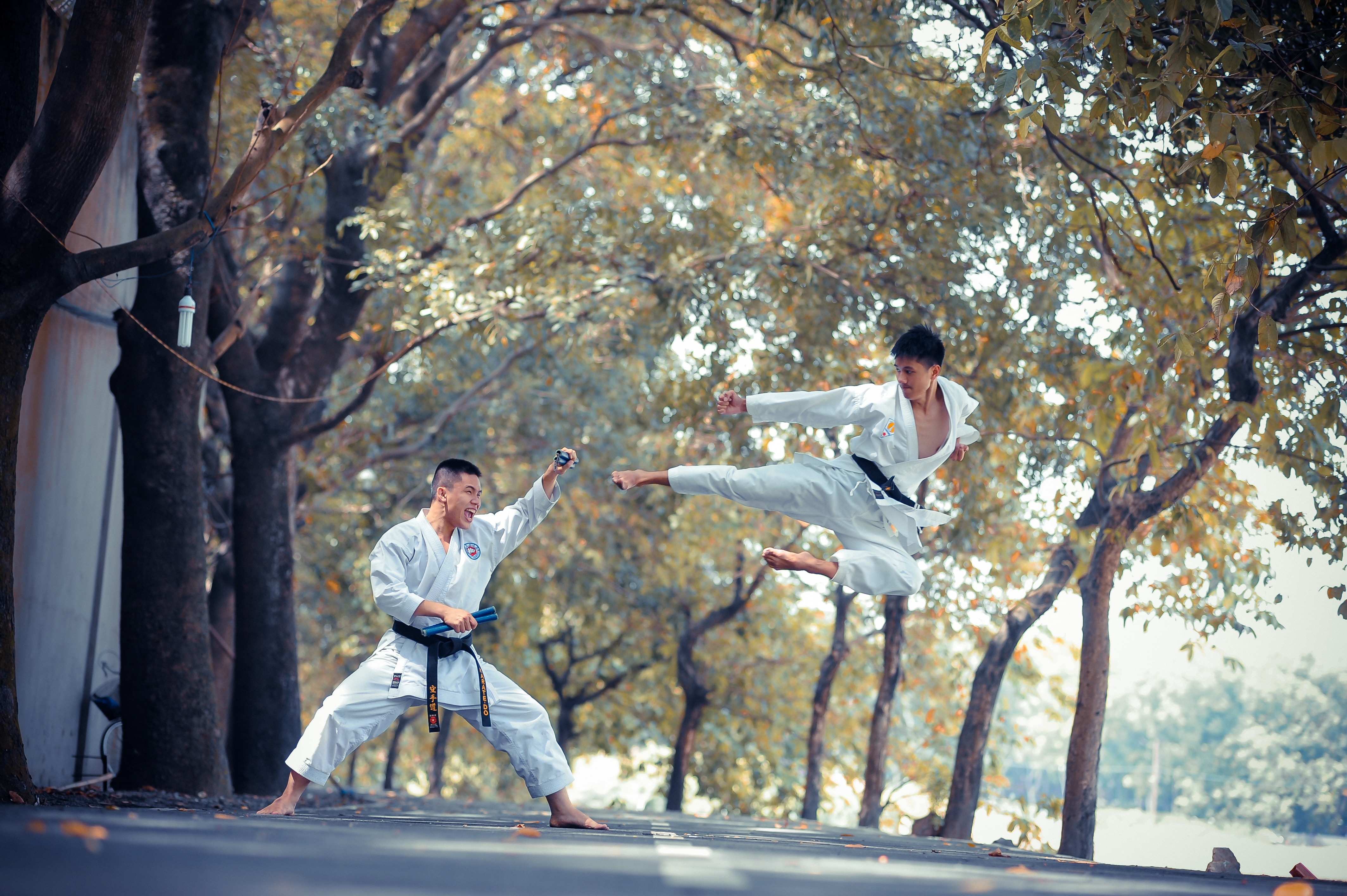 Karate image