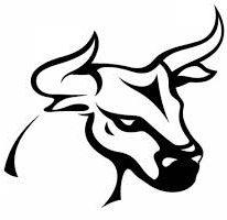 bull