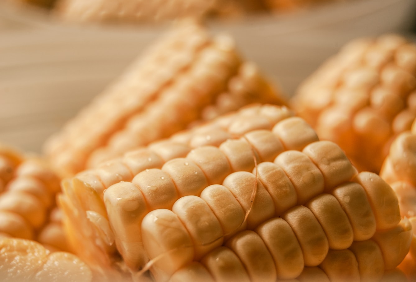wheat