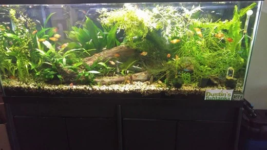 picture1