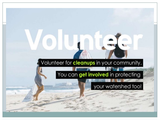 Volunteer