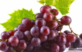 fruit 4