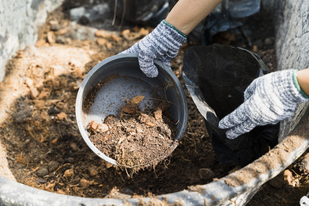 soil