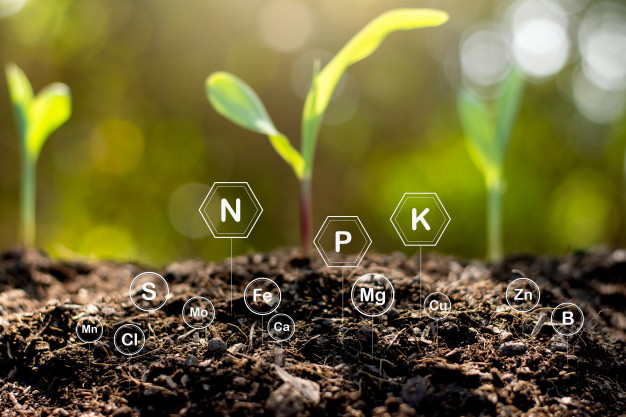 npk-fertlizers