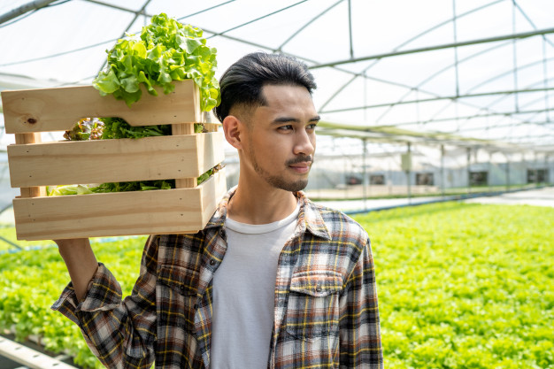 farmer-1