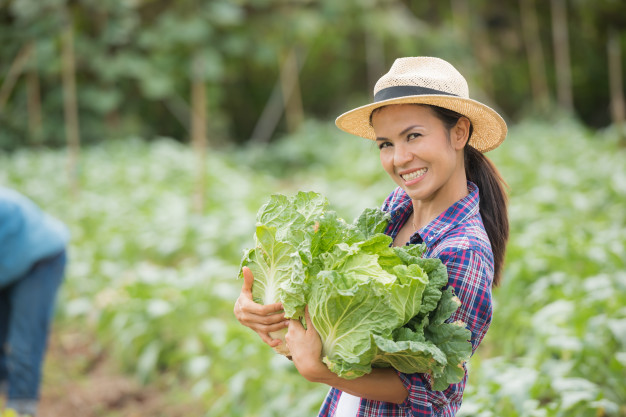 farmer-2