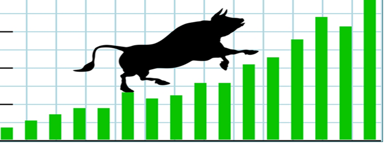 bull