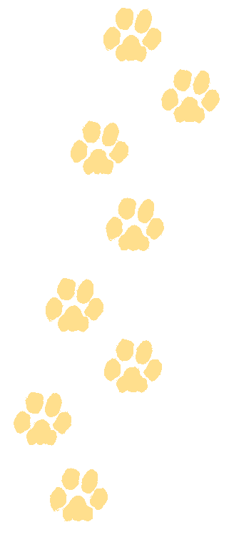 foot-print