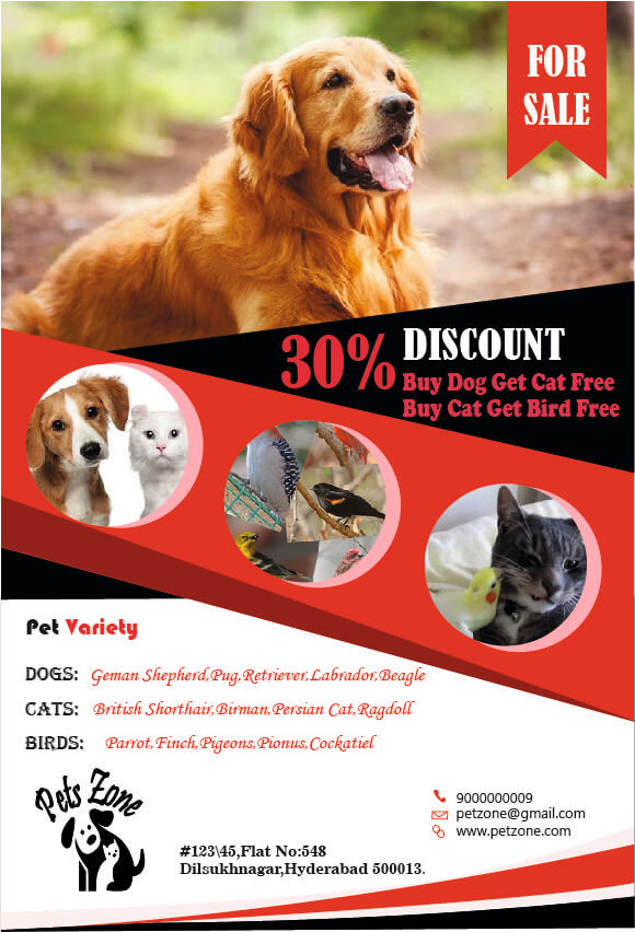 Flyer