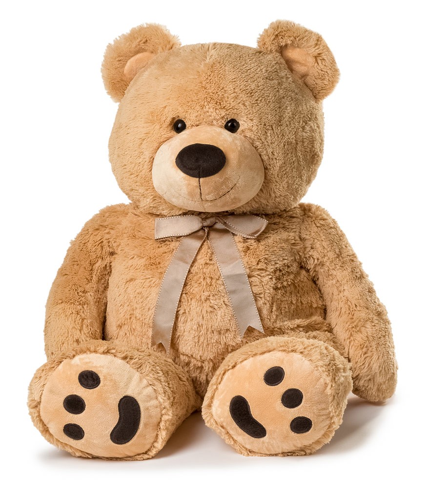teddy