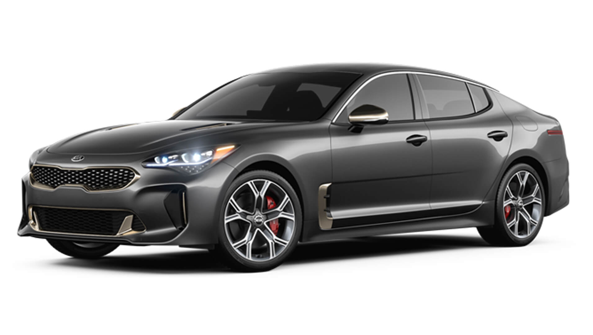 Motra Stinger Panther Metal Color